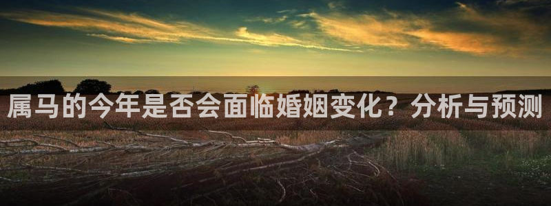 卧龙娱乐官方网站下载