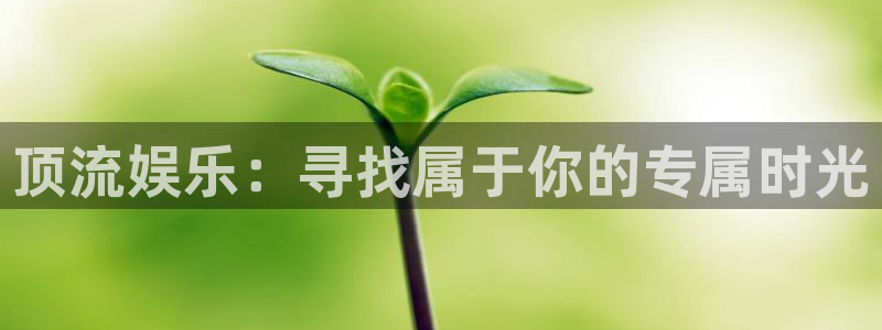 卧龙娱乐