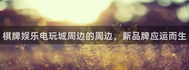 卧龙娱乐退款怎么退
