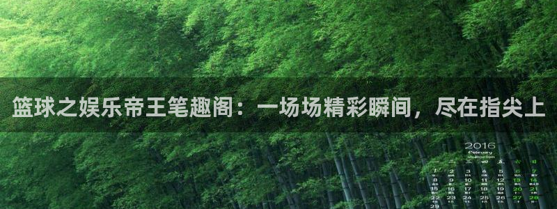 壹号平台下载安装