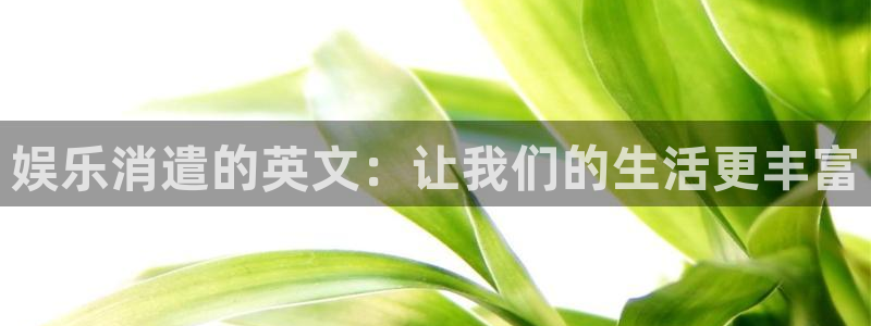 卧龙娱乐官网