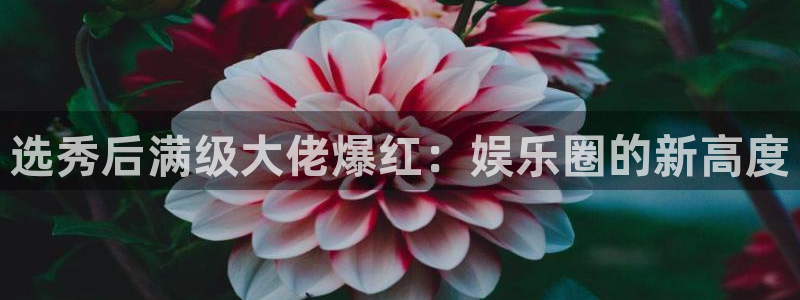 卧龙娱乐下载