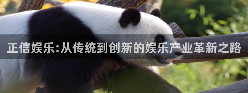 壹号app下载苹果