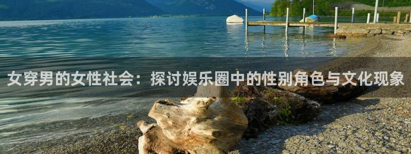 卧龙娱乐平台app下载安装