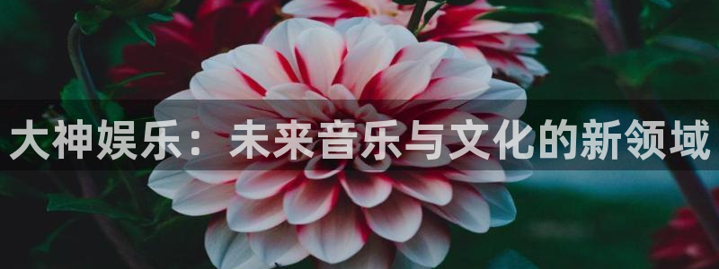 壹号app下载官网娱乐