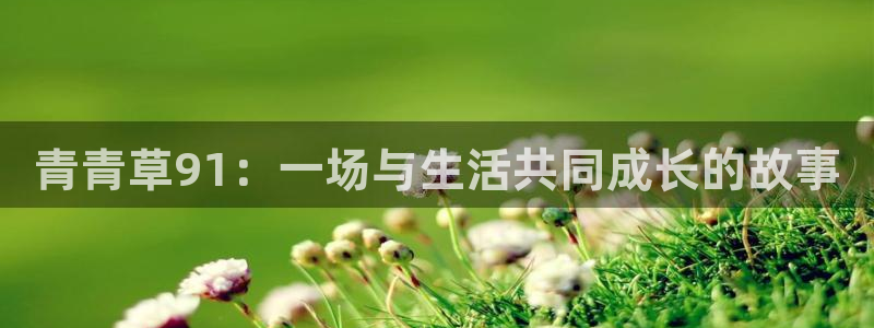 伟德国际集团 壹号(one game)