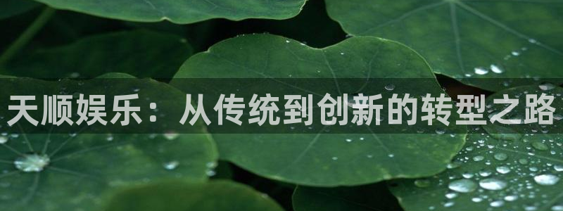 壹号大舞台怎么下载