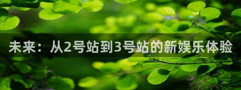 卧龙娱乐电子游戏官网