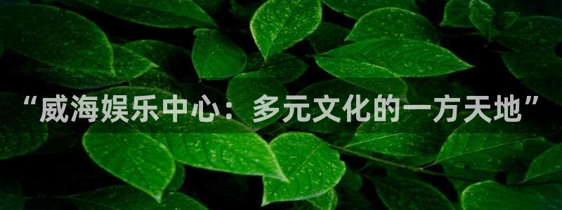 壹号注册入口app下载