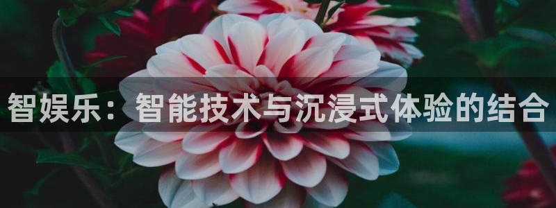 壹号app下载苹果