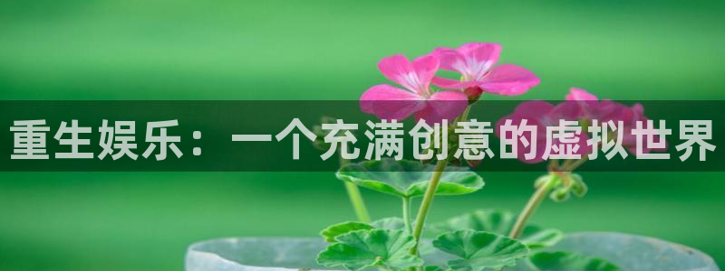 卧龙娱乐app下载：重生娱乐：一个充满创意的虚拟世界