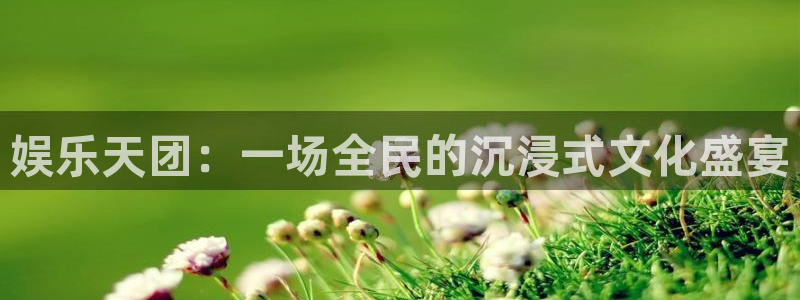 卧龙娱乐下载：娱乐天团：一场全民的沉浸式文化盛宴