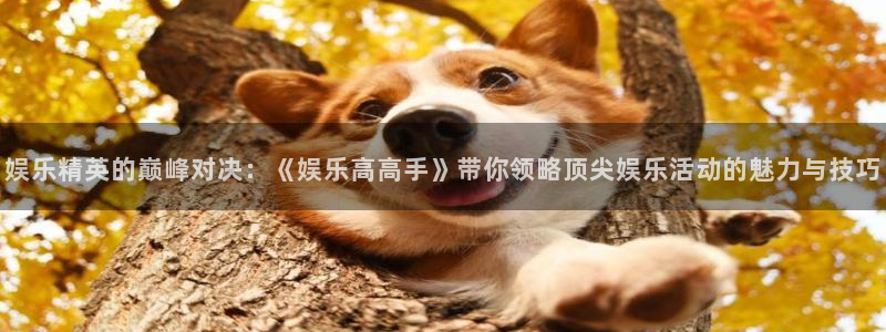 卧龙娱乐平台app下载安装：娱乐精英的巅峰对决：《娱乐高高手》带你领略顶尖娱乐活动的魅力与技巧