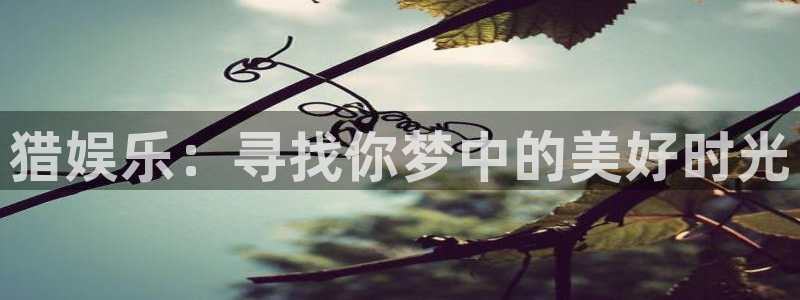 卧龙娱乐app下载：猎娱乐：寻找你梦中的美好时光