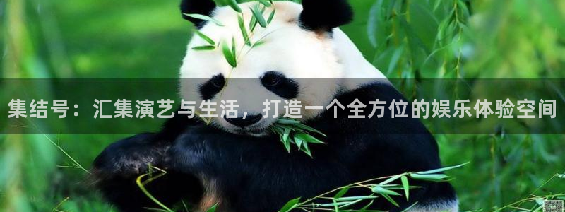 壹号大舞台官网入口：集结号：汇集演艺与生活，打造一个全方位的娱乐体验空间
