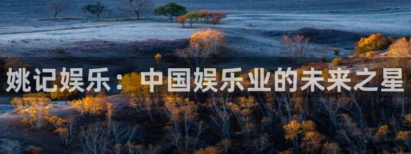 卧龙娱乐app下载安装：姚记娱乐：中国娱乐业的未来之星